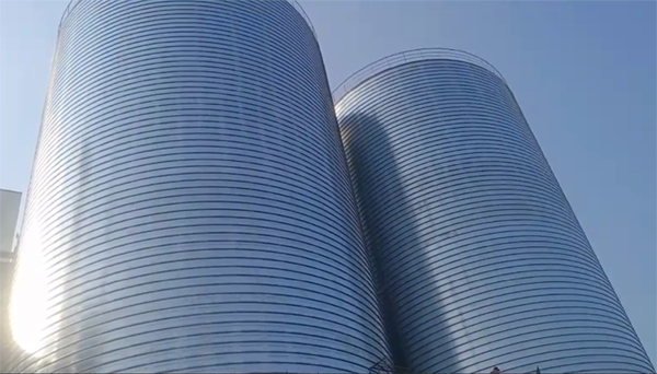 老边2座混凝土高架卷板仓